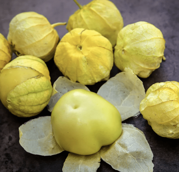 Husk Tomato - Tomatillo - Amarylla (3.25" pot)